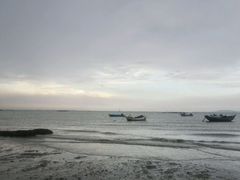 -巨鹏飞梦幻海岸