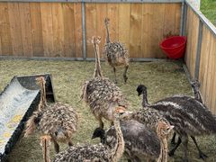 -水上乐园·欢乐世界