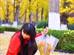-百林公园-两江幸福广场
