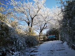 -江南天池高山汤泉城