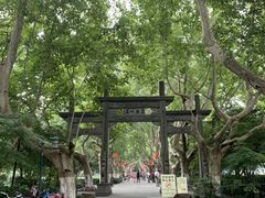 -杭州黄龙洞