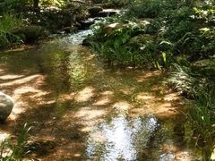 -中国茶叶博物馆(双峰馆区)