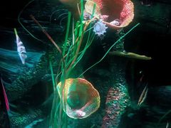 -沈阳海洋探索中心