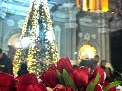 -王府井天主教堂