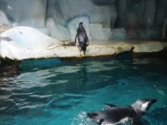 -无锡海洋馆