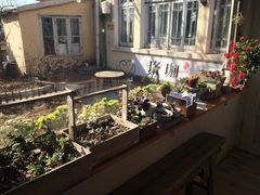 -海边的猫和咖啡馆