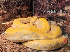 -杭州动物园