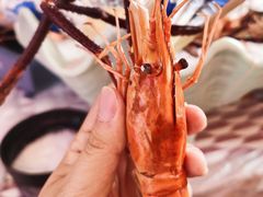 -徐嘉赫龙虾馆