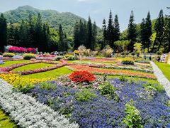 -深圳仙湖植物园