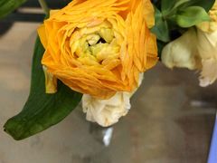 -陈氏全羊快餐(七里河店)