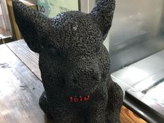 -西归浦每天偶来市场
