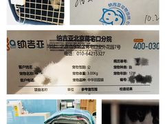 -纳吉亚猫专科动物诊疗中心(蒋宅口分院)