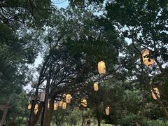 -白马涧龙池景区