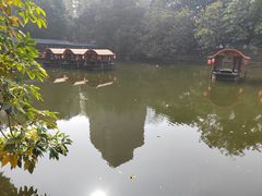 -侨美·唐荔园·40年地道粤菜