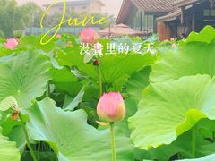 -莫催咖啡