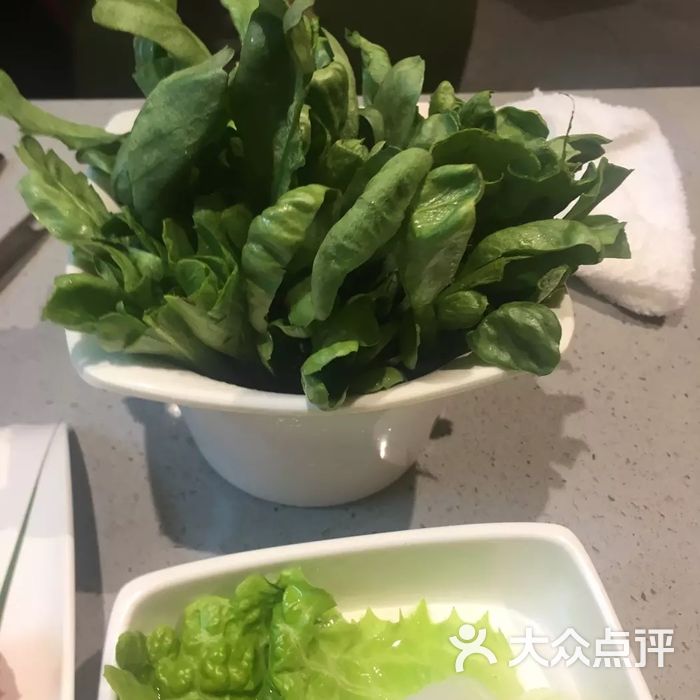 海底捞绿色脆脆的菜图片