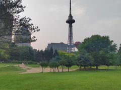 -龙塔
