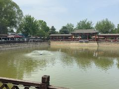 -尚庄度假村·庭台树下·户外烧烤·团建CS·轰趴营地(上庄水库店)