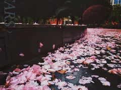-白鹭湾湿地公园