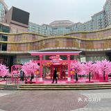 满树樱花朵朵开，花花世界的，出来逛街啊