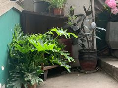-知物癖(牛王庙店)