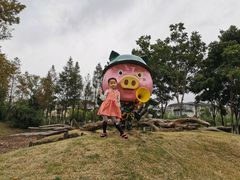 -田园东方蜜桃村的田野营地