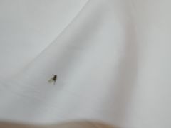 -明月山天沐温泉度假村