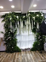 -星豆豆儿童摄影(南郊太白南路店)