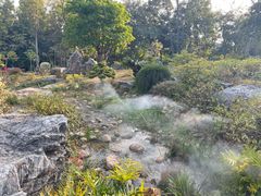 -东莞植物园
