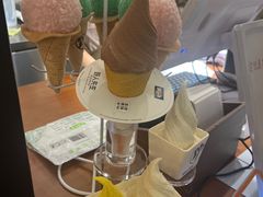 -野人先生Gelato(上海长宁龙之梦店)