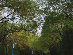 -森林公园(尖草坪区)