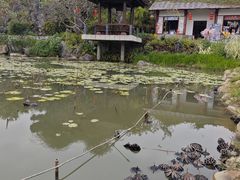 -惠州西湖丰渚园