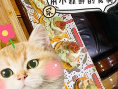 -Famous肥猫墨西哥音乐餐吧(五棵松华熙LIVE店)