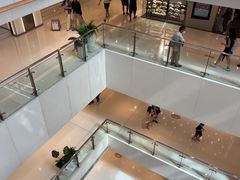 -新城市广场