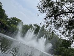 -上海共青森林公园