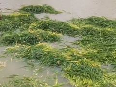 -万达广场(南京江宁店)