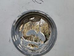 -苏州东山雕花楼宾馆