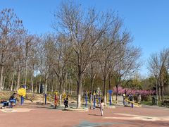 -大兴滨河森林公园