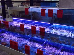水产区-洲晓鲜·舟山海鲜大排档(朱家尖风景区店)