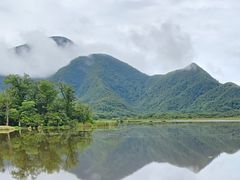 -大九湖