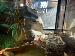 -瑞虹新天地月亮湾