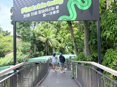 -圣淘沙天际线斜坡滑车