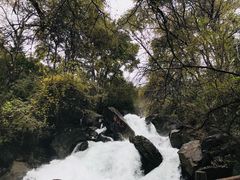 -叠溪松坪沟景区