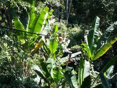 -清迈丛林飞跃 JungleFlight