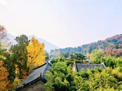 -潭柘寺景区