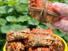 -七的湖·晚芳亭·阳澄湖农家菜·大闸蟹(莲花岛店)