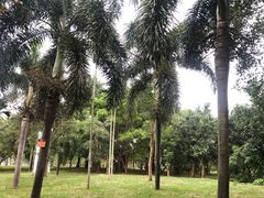 -白沙门生态公园