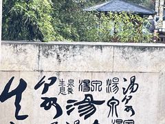 -星河温泉小镇