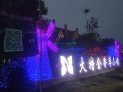 -大塘金香草谷