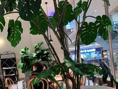 -卡朋西餐(悦汇城店)